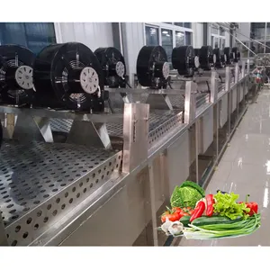 Schnellgefrierungslinie aus Edelstahl für grüne und breite Bohnen gefrorene Gemüsewaschmaschine und Verpackungsproduktion