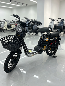 Bicicleta Eléctrica 48V12/20Ah 300W 500W Económica en Venta, Urbana, de Ocio, Bajo Costo, Solar AT0076, Batería de Larga Duración para Recorridos Prolongados - Product Image 2