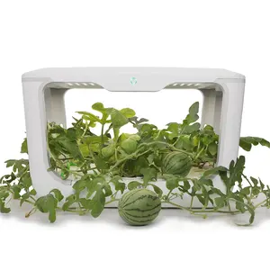 Indoor hydro plant autopot system growing Hydroponics Grow Set Smart Hydroponics Planter