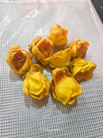 Fleurs séchées exotiques entières de Camellia Petelotii jaunes, séchées à l'air, faites à la main, comestibles, acceptation OEM, spécialité de thé du Vietnam