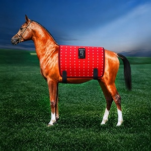 Équipement de thérapie équine OEM, couverture de thérapie pour chevaux à lumière rouge 660nm 850nm, équipement de thérapie pour chevaux à infrarouge lointain détachable pour l'écurie - Product Image 3