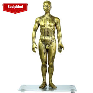 चिकित्सा विज्ञान शिक्षण के लिए डीलक्स तांबे रंग मानव एक्यूपंक्चर मॉडल 50CM स्कूल - Product Image 1