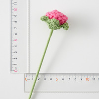 Bouquet de fleurs crocheté à la main Bouquet de roses à bulles Accessoires Mini fleur artificielle dégradée Décoration de la maison
