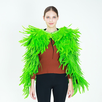 Écharpe d'épaule en plumes naturelles avec manches longues, multicolore, accessoire de costume pour spectacle, carnaval, cosplay
