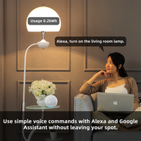 Bilihondim Mini prise Zigbee avec variateur d'intensité et compteur de puissance 200W, surveillance de l'énergie en temps réel, compatible Google Assistant, sans fil
