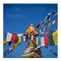 2024 nouveau produit couleur vive médecine bouddha Ashtamangala conception drapeaux de prière tibétains bouddhiste religieux acrylique drapeau de prière