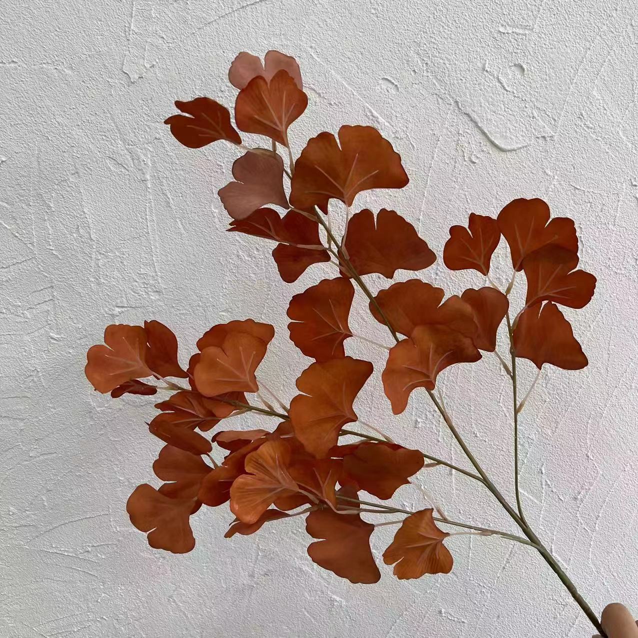 #1 feuilles de ginkgo biloba