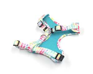 ชุดสายจูงและปลอกคอสุนัขแบบปรับได้ ไม่รัดคอ บุด้วยกำมะหยี่ มีหลายขนาด ตั้งแต่เล็กถึงใหญ่ น่ารัก สามารถสลักชื่อได้ พร้อมชุดสายรัดอกสำหรับลูกสุนัข - Product Image 3