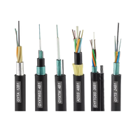 Cable de fibra óptica para exteriores ADSS ASU GYTC8S Cable de fibra óptica aéreo autónomo 48 Core SM