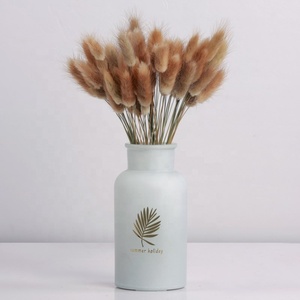 Lagurus-Hierba seca de cola de conejo, <span class=keywords><strong>flores</strong></span> y plantas <span class=keywords><strong>secas</strong></span> naturales, precio de fábrica, venta <span class=keywords><strong>al</strong></span> <span class=keywords><strong>por</strong></span> <span class=keywords><strong>mayor</strong></span> - Product Image 2
