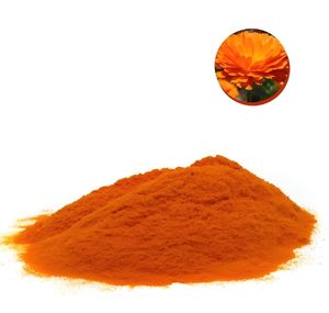 Approvisionnement d'usine Offre Spéciale Botanique Fruits Et Légumes Pollen Additifs Extrait De Souci Naturel Lutéine 5% Cws Poudre - Product Image 1