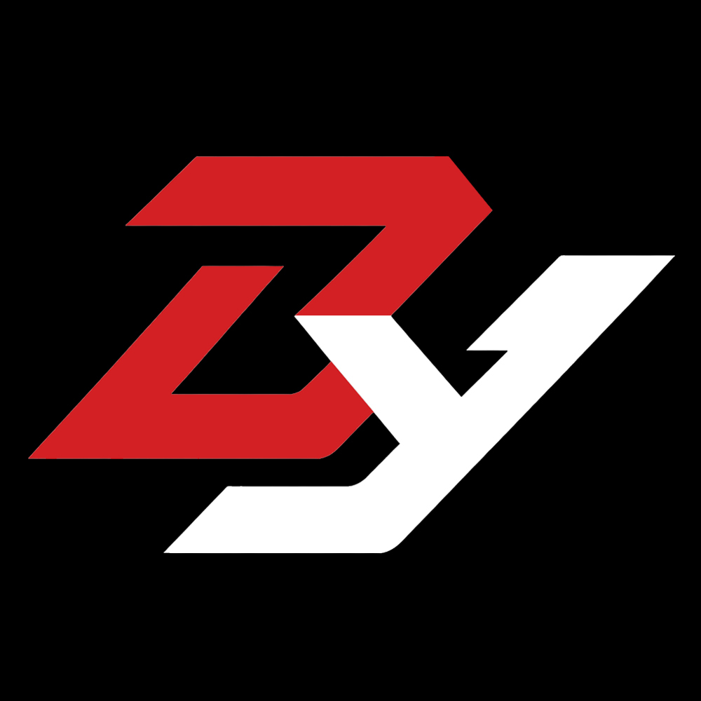 Sichuan Boyao Auto Parts Co., Ltd. logo