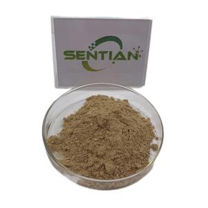 Ginkgo Biloba lá chiết xuất bột Ginkgo Biloba chiết xuất 10:1 20:1 - Product Image 1