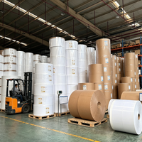 Papier et carton APP, rouleau de papier laminé enduit de PE PLA de qualité alimentaire pour l'emballage en papier, le carton kraft et les gobelets en papier