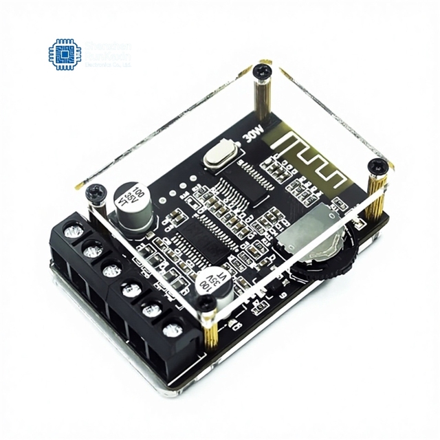 10W/15W/20W Stereo for Amplifier Board 12V/24V High Power Digital Amplifier Module XY-P15W China