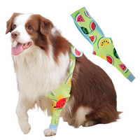 Manchon de récupération personnalisé pour patte avant de chien, anti-léchage, anti-grattage et anti-morsure, alternative au collier conique, protection articulaire