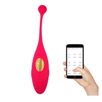 Vibrateur portable télécommandé par application, Dildo sans fil, Jouet sexuel féminin, Jouets sexuels pour adultes, Vibrateur œuf pour culotte