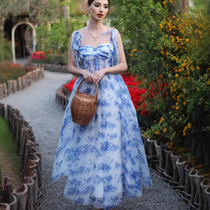 Robe midi en organza à imprimé floral, épaules dénudées, taille empire, fermeture éclair sur le devant, robe de cocktail transparente - Product Image 1