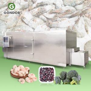 Máquina de Congelación Rápida con Nitrógeno Líquido para Durian de Malasia, Congelación Instantánea para Papas Fritas - Product Image 1