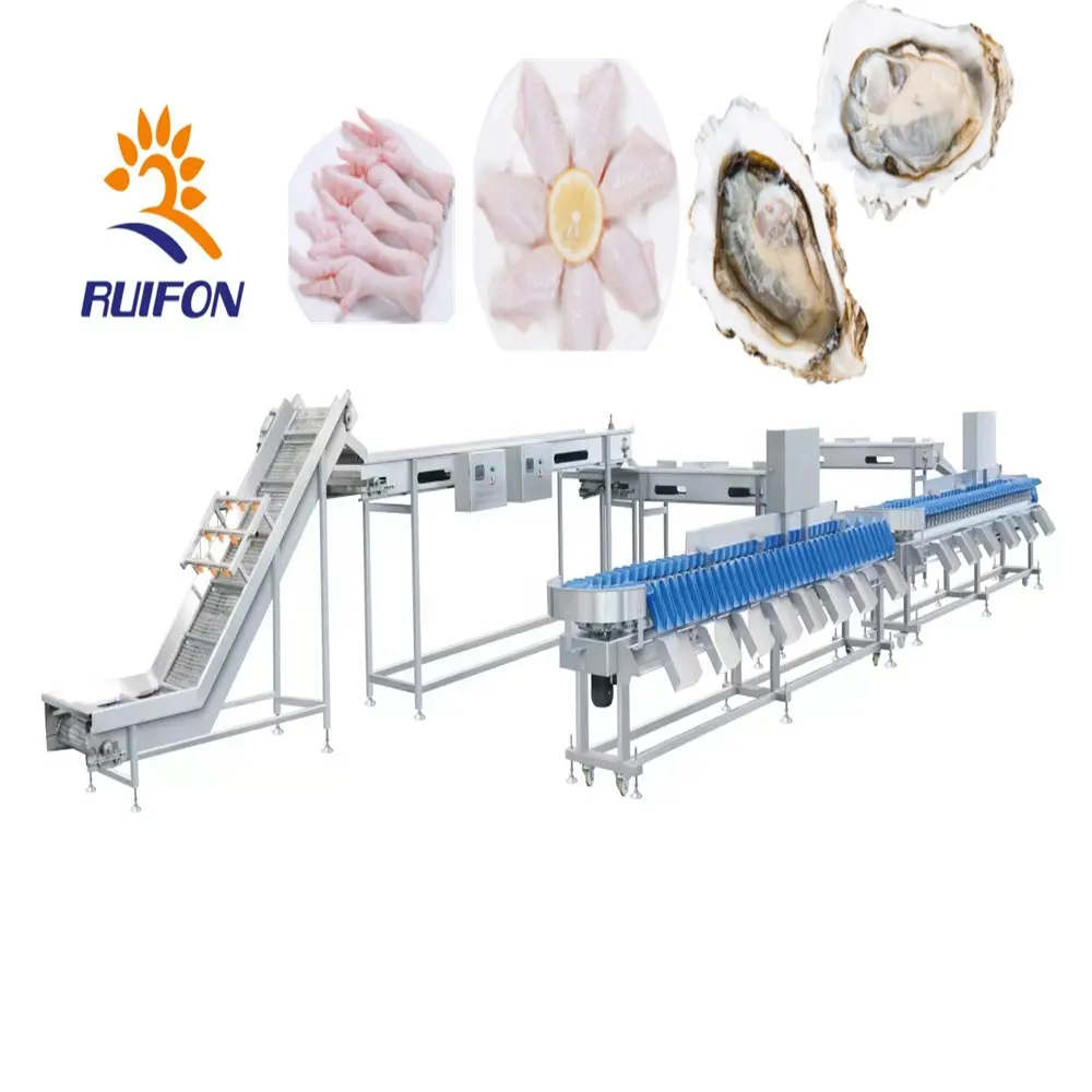 Austern Oyster Oyster sea cucumber Chicken legSlaughter-Produkte Weight Separator classifier Graded Scale Automatic Check Gewicht
