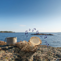 Coquillage naturel, coquille de conque, ornements d'escargot de mer, accessoires de plage, haut-parleur Bluetooth d'extérieur