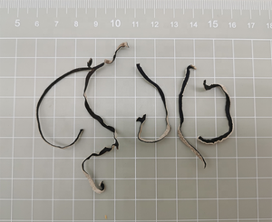 Rebanada de <span class=keywords><strong>hongo</strong></span> negro blanco seco al por mayor de fábrica <span class=keywords><strong>Hongo</strong></span> negro seco de oreja de madera - Product Image 3