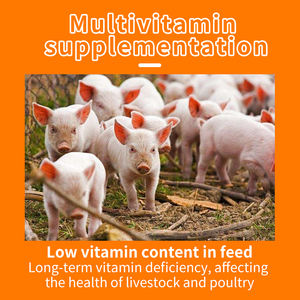 OEM 사용 가능한 대량 팩 가축 성장 촉진제 사료 첨가제 L-라이신 HCL 비타민 아미노산 사료 등급 중국산 - Product Image 3