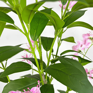 ดอกไม้ประดิษฐ์ดอกมะลิบอน<span class=keywords><strong>ไซ</strong></span>ประดิษฐ์เหมือนจริงขนาด180ซม. ดอกไม้ผ้าไหมเทียมสำหรับตกแต่งในร่ม - Product Image 5