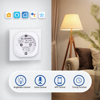 Bilihondim Matter Over Thread EU Mini Plug Dimmer 1 canal 200W sans fil contrôlé par Google Assistant faible consommation