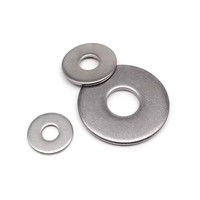 Grade a 316 Stainless Steel Large Washer, GB96.1