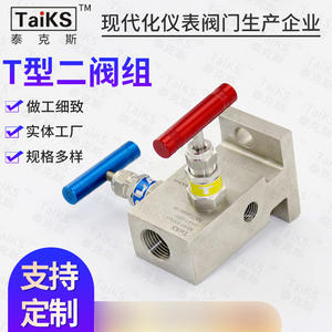 Collecteurs à deux vannes de type T fournis par le fabricant, composant clé pour les vannes de régulation - Product Image 4