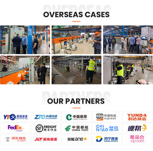 Сортировщик с раздельными лотками (Bombay): Автоматизированное распределение посылок для складских операций - Product Image 6