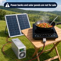 Cuisinière à induction DC 24 V à piles, bouton tactile, chauffage solaire électrique, haute efficacité, pour voiture, extérieur, maison, camping KI04001