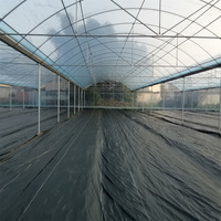Serre multi-travées avec structure en acier galvanisé pour la culture commerciale de champignons 1000 m²