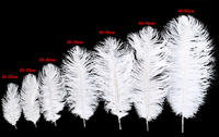 Plumes d'autruche de 40-45 cm, décorations pour costumes de carnaval, décoration de table, plumes d'autruche teintées pour mariage