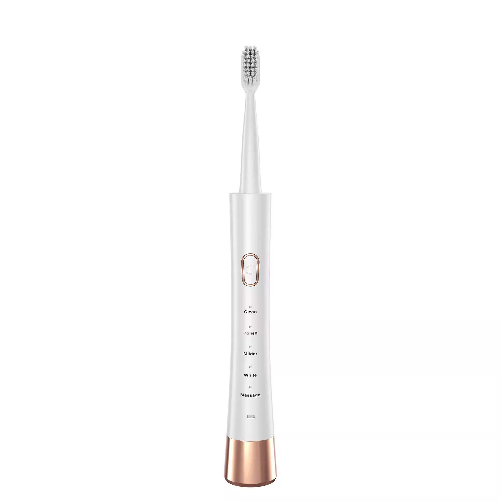 ตามที่แสดง