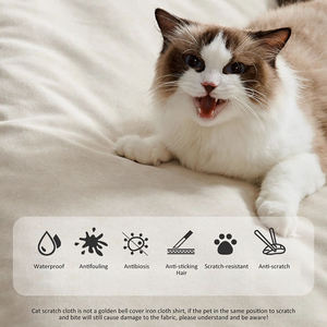 Freehand Space Sofa Prado de dos caras <span class=keywords><strong>sentado</strong></span> de dos vías pequeño apartamento sin brazos respaldo cuadrado gato rascar sofá de tela - Product Image 5