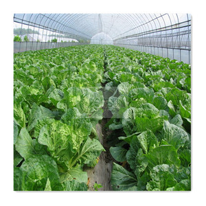 <span class=keywords><strong>Abri</strong></span> <span class=keywords><strong>de</strong></span> pluie commercial tout temps tunnel bas séchoir solaire humidificateur extérieur serres tunnel en plastique - Product Image 4