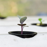Pots hydroponiques en filet de 60x55 mm pour la culture des plantes, la germination des graines et la culture des légumes