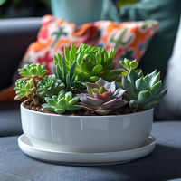 8 pouces blanc rond en céramique succulente jardinière Pot moderne fleur Cactus herbe grand planteur avec soucoupe amovible intérieur ou extérieur