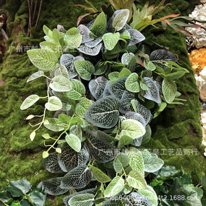 Vigne artificielle de Pothos Dong Hui, guirlande murale verte pour décoration intérieure, 150g, pour mariage et maison - Product Image 4