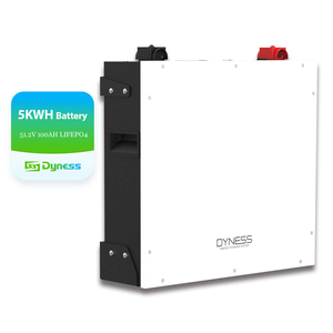<span class=keywords><strong>Batterie</strong></span> au lithium murale Dyness 51,2 V 100 Ah 5,12 kWh à vente chaude avec une durée de vie de 6000 cycles, batteries solaires basse <span class=keywords><strong>tension</strong></span> DL5.0C - Product Image 1