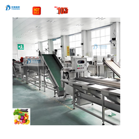 Línea automática completa de procesamiento de verduras, máquina cortadora de cebolla verde, máquina cortadora para repollo