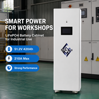 Armoire de stockage d'énergie mobile LiFePO4 pour atelier d'usine, 51.2V 420Ah 21.5kWh avec roues, BMS de protection, CAN, RS485
