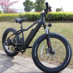 Новый продукт 48V 750W Жира Шины электровелосипеда горный электрический велосипед с литиевой батареей
