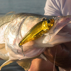 Señuelo flotante tipo lápiz de 110mm/28g, cebo artificial duro de acero inoxidable para pesca en barco de bagre y pez boca grande - Product Image 1