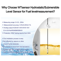 Capteur de niveau de liquide submersible en acier inoxydable WTsensor 4-20mA RS485 Protection IP68 pour puits sous-marins