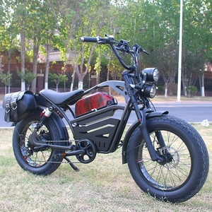 <span class=keywords><strong>Acier</strong></span> de 20 pouces, fabrication américaine Vélo électrique à pneus larges pour adultes, avec double amortisseur, moteur arrière 1500W sans balais, batterie lithium 48V 15AH - Product Image 1