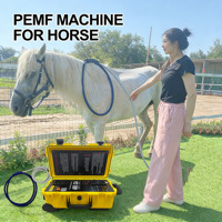 Appareil de thérapie PEMF pour chevaux pour améliorer la vitalité, augmenter la flexibilité et la mobilité des articulations et calmer l'humeur