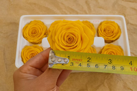 8 Buah Kotak Mawar Awet Warna Kuning, Mawar Abadi Alami, Bunga Stabil untuk Kerajinan DIY, Dekorasi Rumah, Pernikahan, Hadiah Valentine
